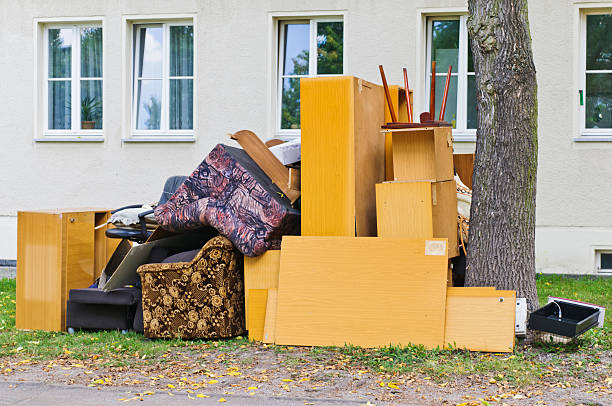 Best Yard Cleanup Services  in New Rockford, ND